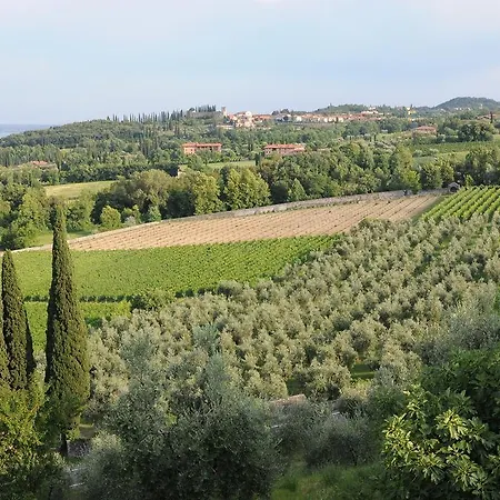 Delizia Picedo *